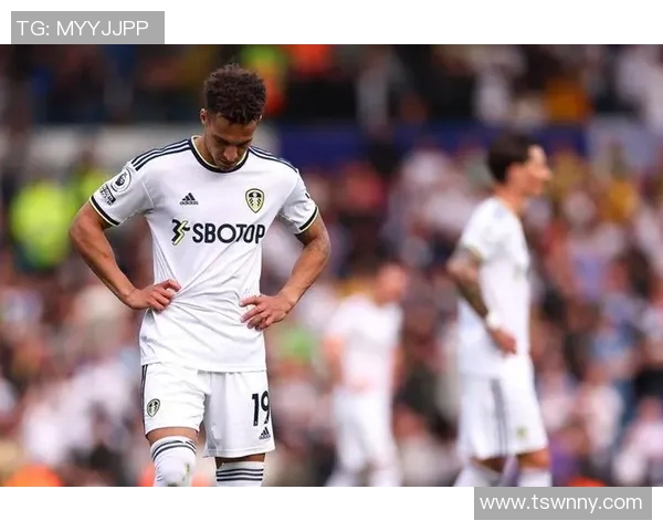 国家队球星风采：足球世界中的璀璨明星与荣耀时刻